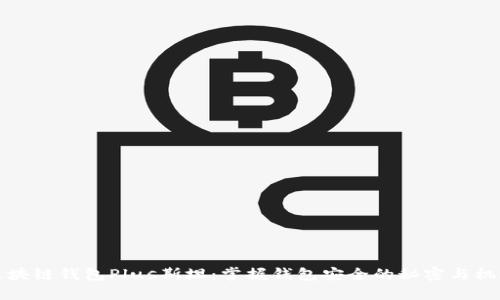 区块链钱包Plus斯坦:掌握钱包安全的秘密与机遇