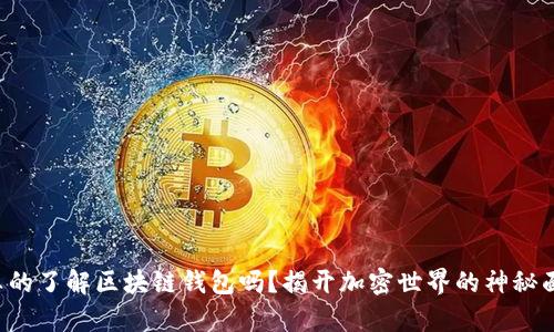 你真的了解区块链钱包吗?揭开加密世界的神秘面纱!