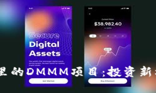解密imToken钱包里的DMMM项目:投资新机遇还是风险陷阱?