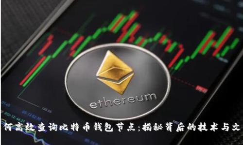 如何高效查询比特币钱包节点:揭秘背后的技术与文化
