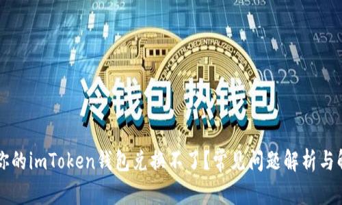 为什么你的imToken钱包兑换不了？常见问题解析与解决方案