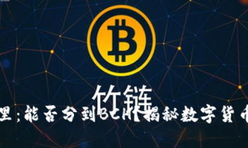 比特币在钱包里：能否分到BCH？揭秘数字货币的分叉与未来