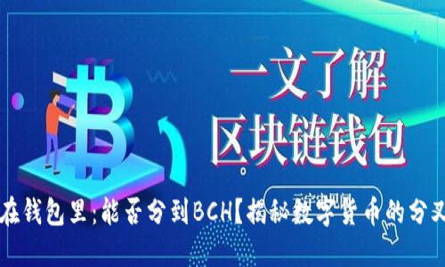 比特币在钱包里：能否分到BCH？揭秘数字货币的分叉与未来