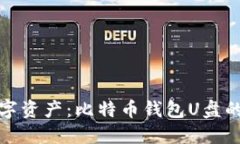 保护你的数字资产：比特