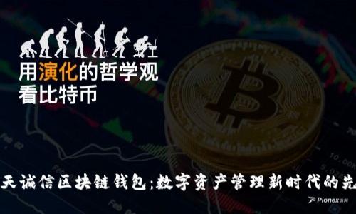 飞天诚信区块链钱包：数字资产管理新时代的先锋