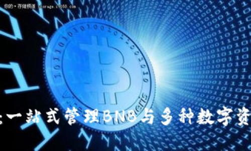 imToken钱包：一站式管理BNB与多种数字资产的安全工具