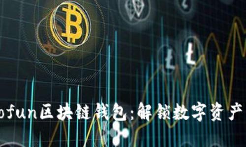 探索Gofun区块链钱包：解锁数字资产的未来