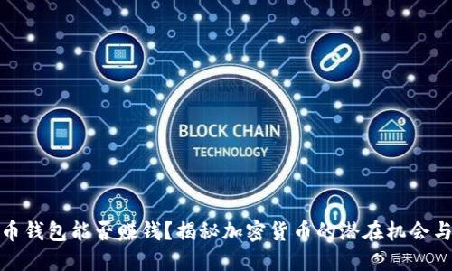 比特币钱包能否赚钱？揭秘加密货币的潜在机会与风险