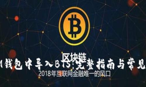 如何在IM钱包中导入BTS：完整指南与常见问题解答