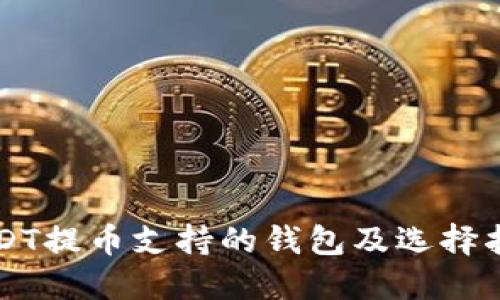 USDT提币支持的钱包及选择指南