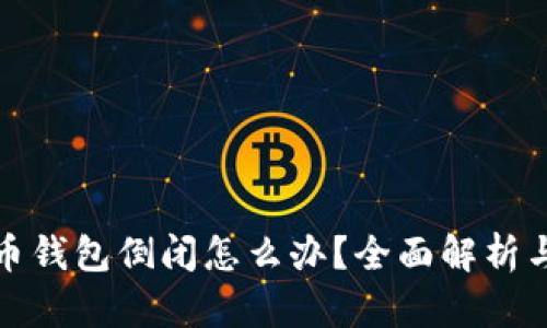 比特币钱包倒闭怎么办？全面解析与应对